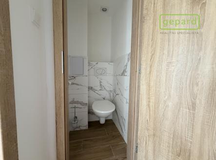 Pronájem bytu, 1+1, 55 m²