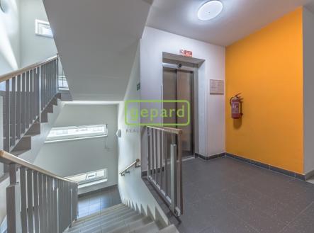 Prodej bytu, 2+kk, 49 m²