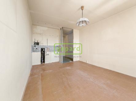 Prodej bytu, 1+kk, 24 m²
