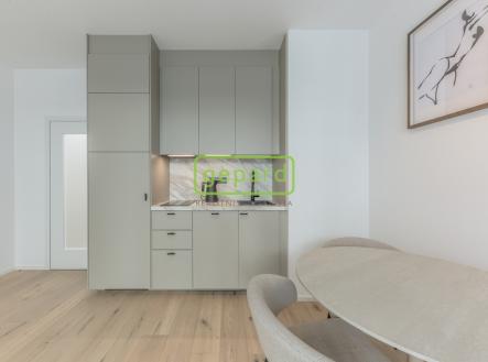 Pronájem bytu, 1+kk, 24 m²