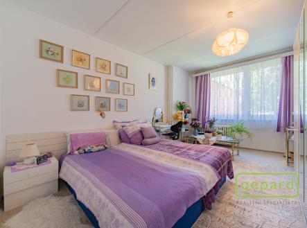 Prodej bytu, 3+1, 65 m²