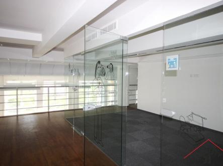 Pronájem kanceláře, 650 m²