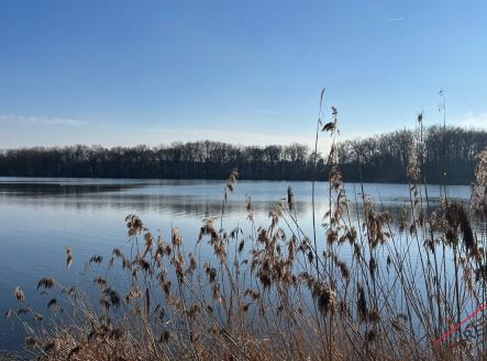 Prodej domu/vily, 116 m²