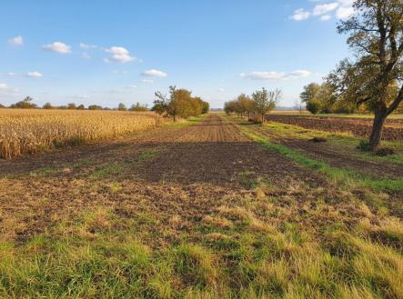 Prodej pozemku, zahrada, 1 564 m² obrázek