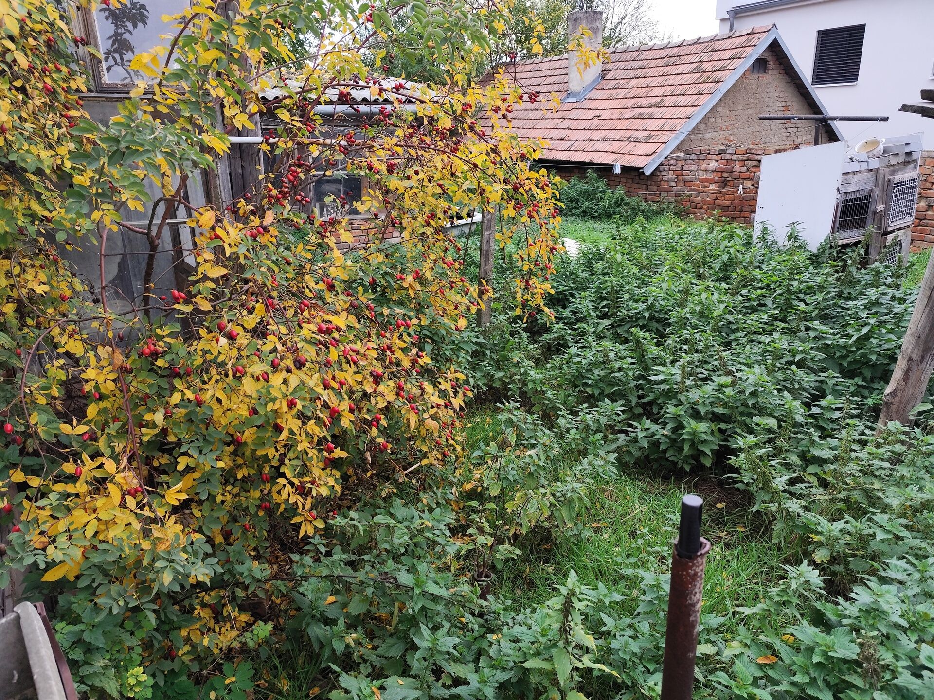 Prodej rodinného domu 125 m2 v obci Břežany