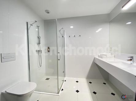 Prodej - hotel, 25 m²