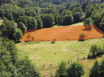 Prodej pozemku pro bydlení, 3 446 m²