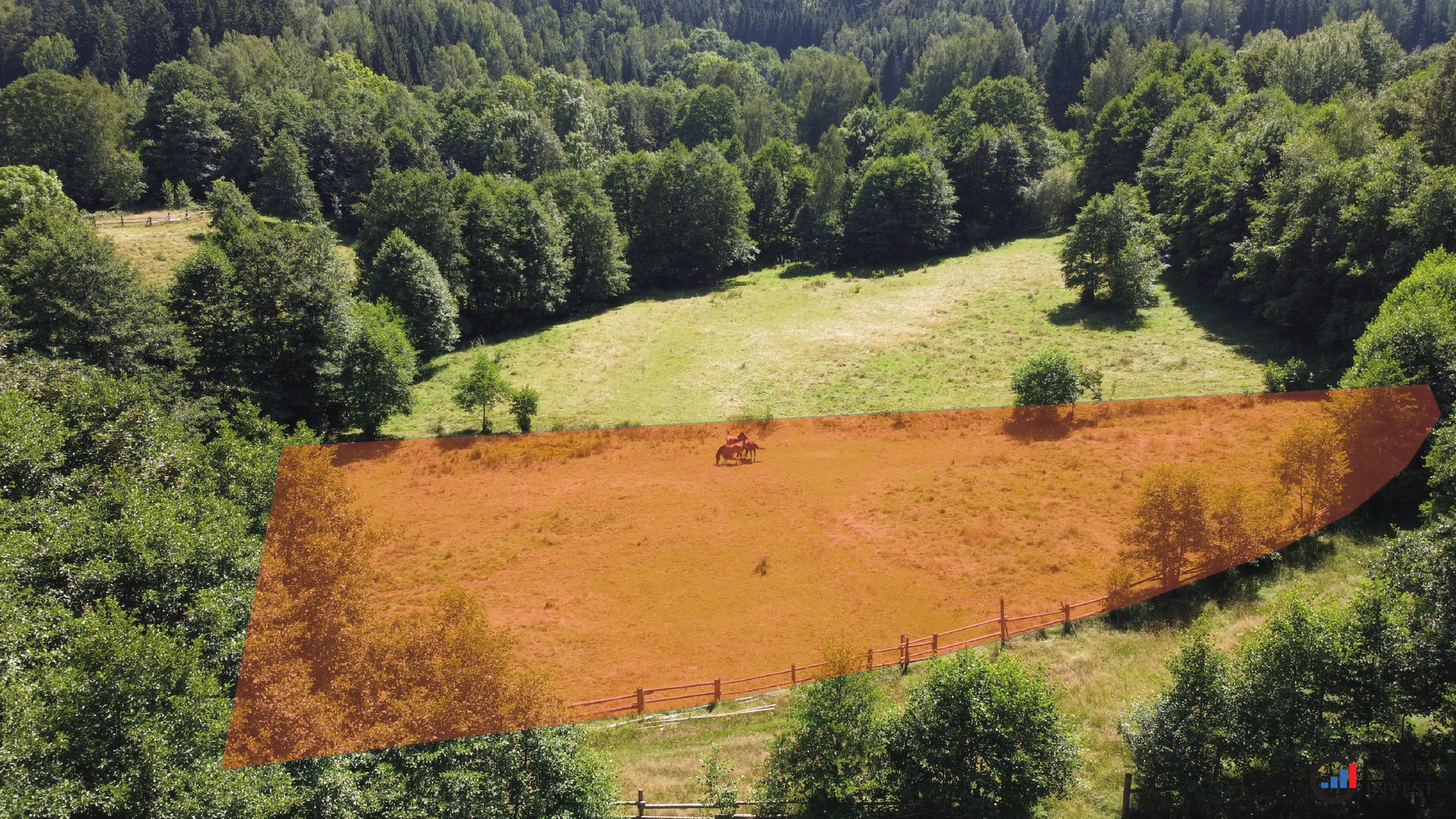 Prodej pozemku 3 118 m² - Olešnice v Orlických horách