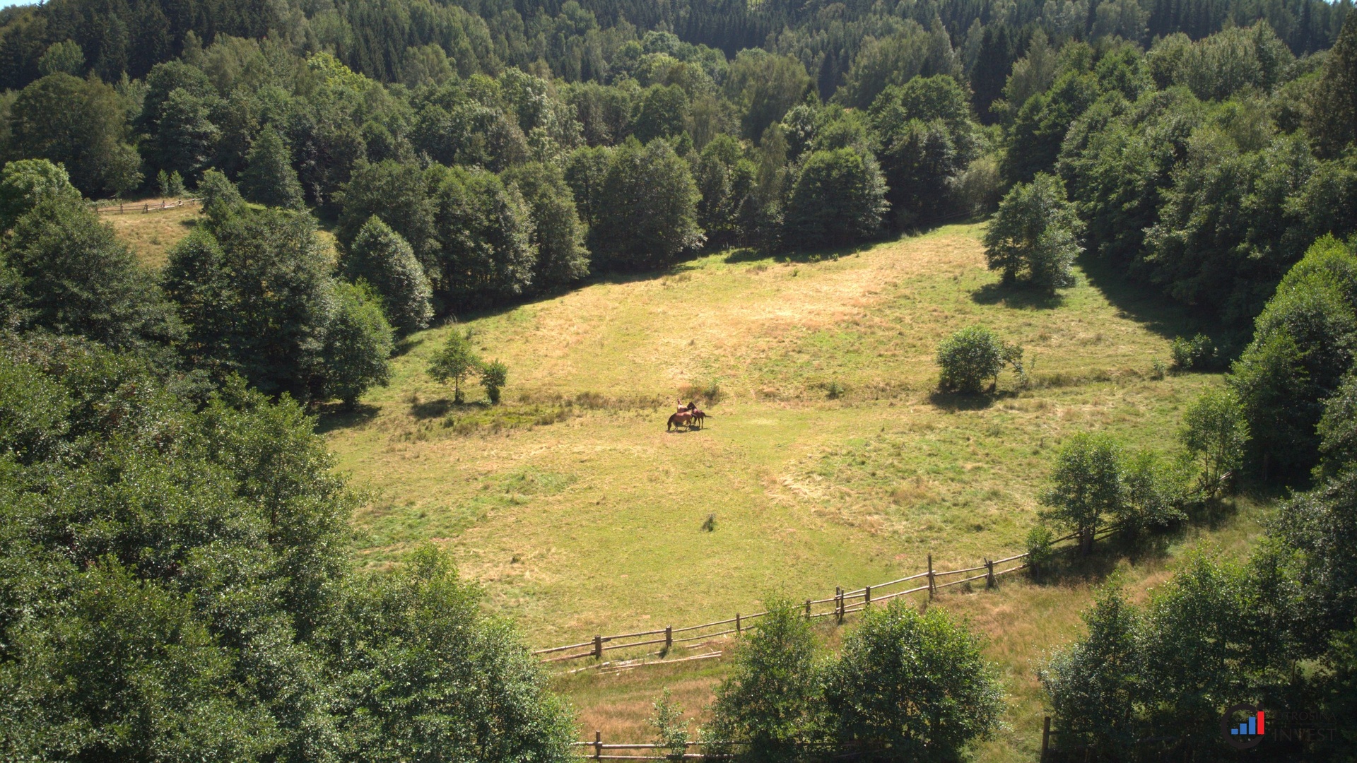 Prodej pozemku 3 027 m² - Olešnice v Orlických horách