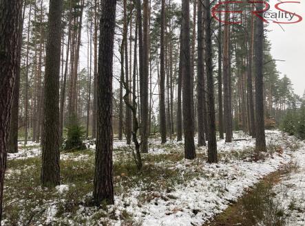 Prodej pozemku, les, 162 122 m²