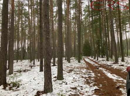 Prodej pozemku, les, 162 122 m²