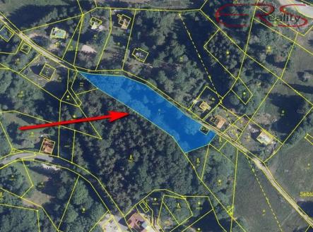 Prodej pozemku, trvalý travní porost, 3 165 m²