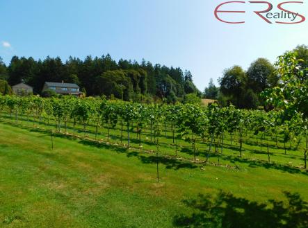 Prodej pozemku pro bydlení, 3 446 m²