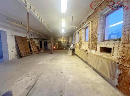 Prodej domu/vily, 300 m²