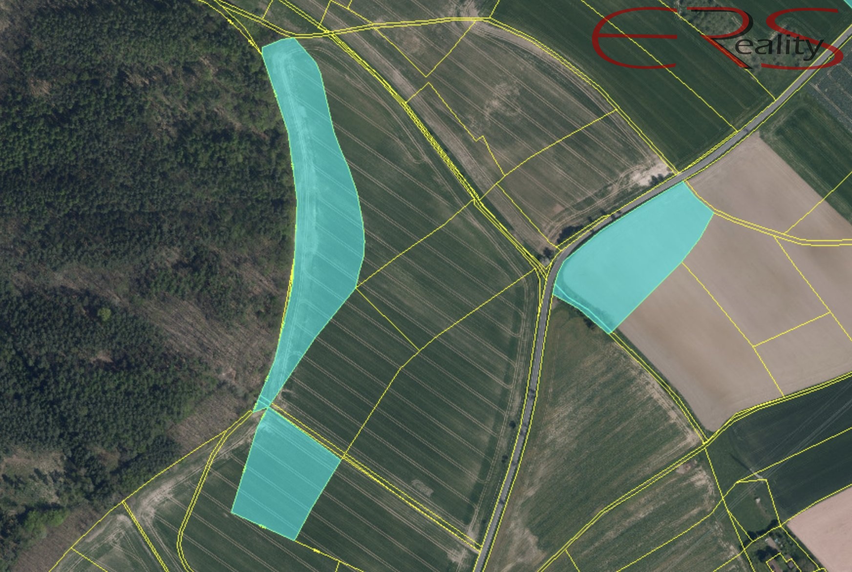 Snímek obrazovky 2025-08-14 v 10.57.58