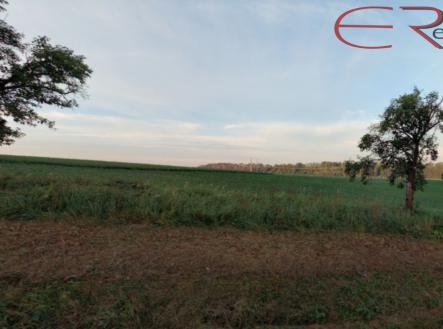 Prodej pozemku, trvalý travní porost, 16 112 m²