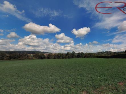 Prodej pozemku, trvalý travní porost, 6 642 m²