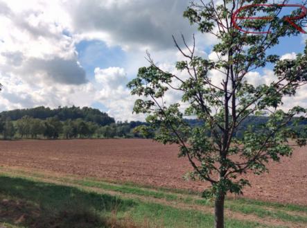 Prodej pozemku, trvalý travní porost, 6 642 m²