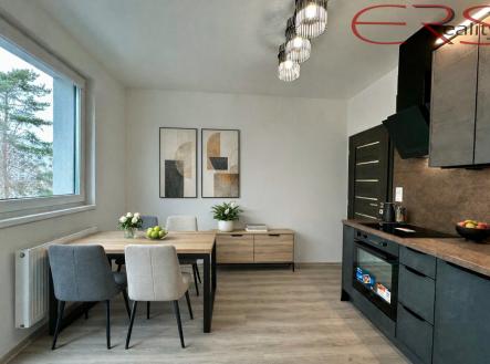 Pronájem bytu, 1+1, 47 m²