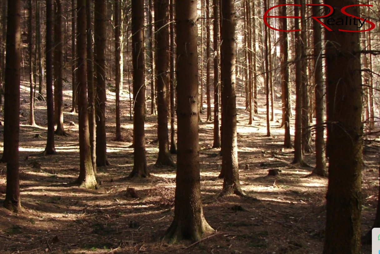 Screenshot_1