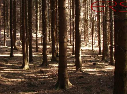 Prodej pozemku, les, 60 268 m²