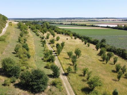 Prodej pozemku pro bydlení, 1 659 m²