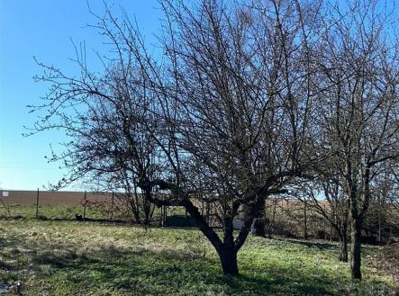 Prodej pozemku pro bydlení, 907 m²