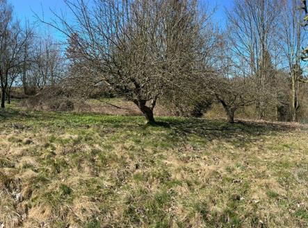 Prodej pozemku pro bydlení, 907 m²