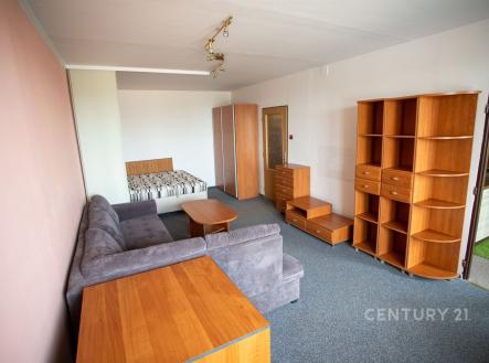 Pronájem bytu, 1+1, 43 m² obrázek