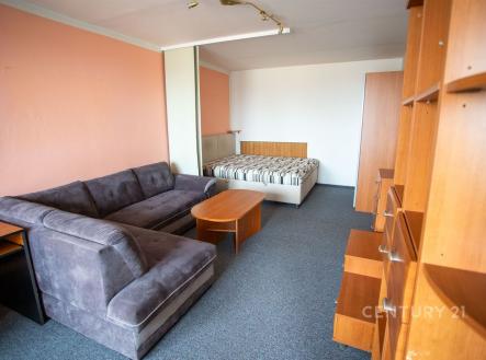 Pronájem bytu, 1+1, 43 m²