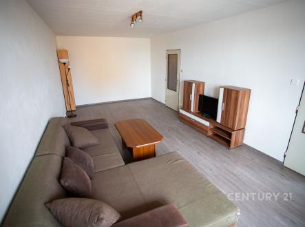 Pronájem bytu, 1+1, 43 m² obrázek