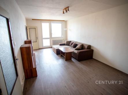 Pronájem bytu, 1+1, 43 m²