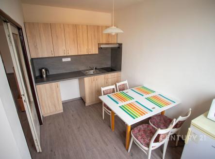 Pronájem bytu, 1+1, 43 m²