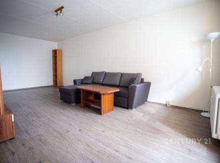 Pronájem bytu, 1+1, 43 m²