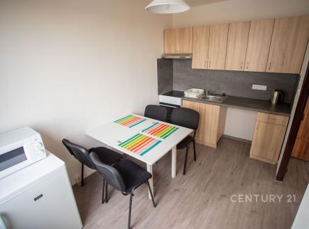 Pronájem bytu, 1+1, 43 m²