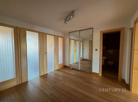 Pronájem bytu, 3+kk, 157 m², Praha – náhled fotky 4