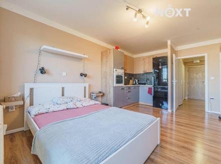 Pronájem bytu, 1+kk, 26 m²