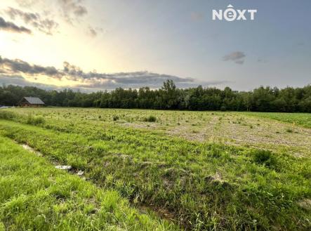 Prodej pozemku pro bydlení, 10 071 m²
