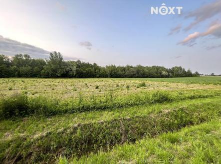 Prodej pozemku pro bydlení, 10 071 m²