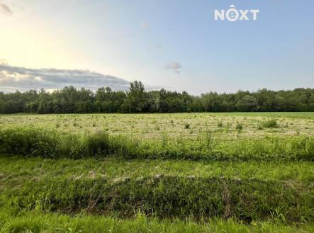 Prodej pozemku pro bydlení, 10 071 m²