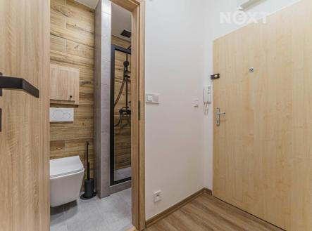 Pronájem bytu, 1+kk, 25 m²