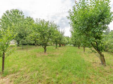 Prodej - pozemek, zahrada, 820 m²