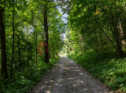 Prodej pozemku pro bydlení, 3 285 m²