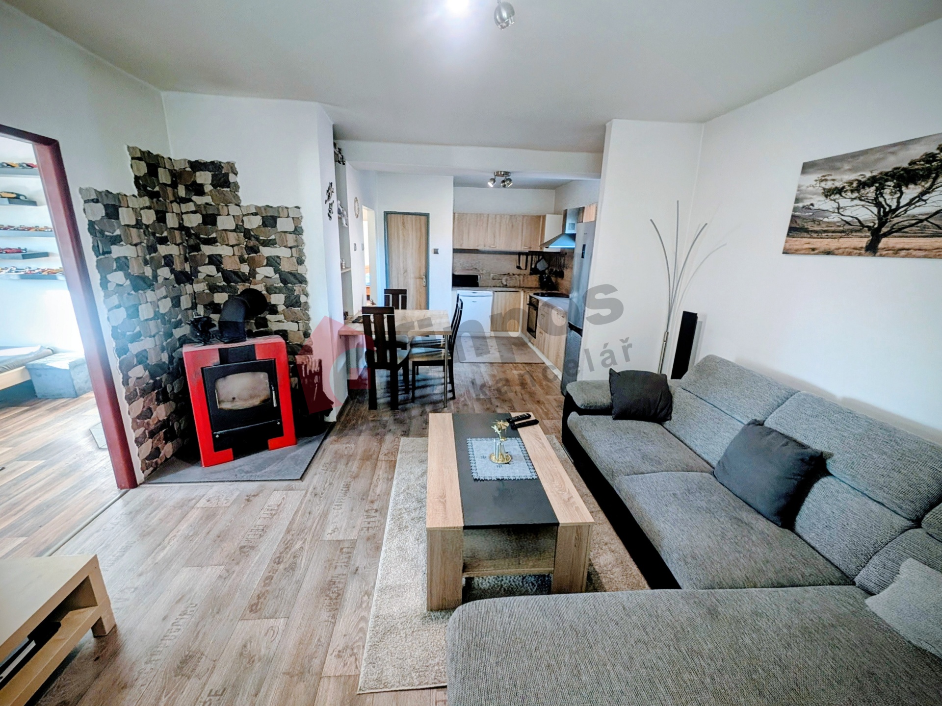 Pronájem vybaveného rodinného domu se zahradou v Hlušičkách