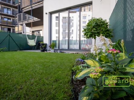 Prodej bytu, 3+kk, 6 566 m²