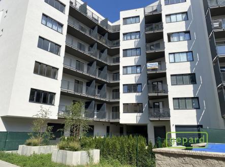 Pronájem bytu, 2+kk, 65 m²