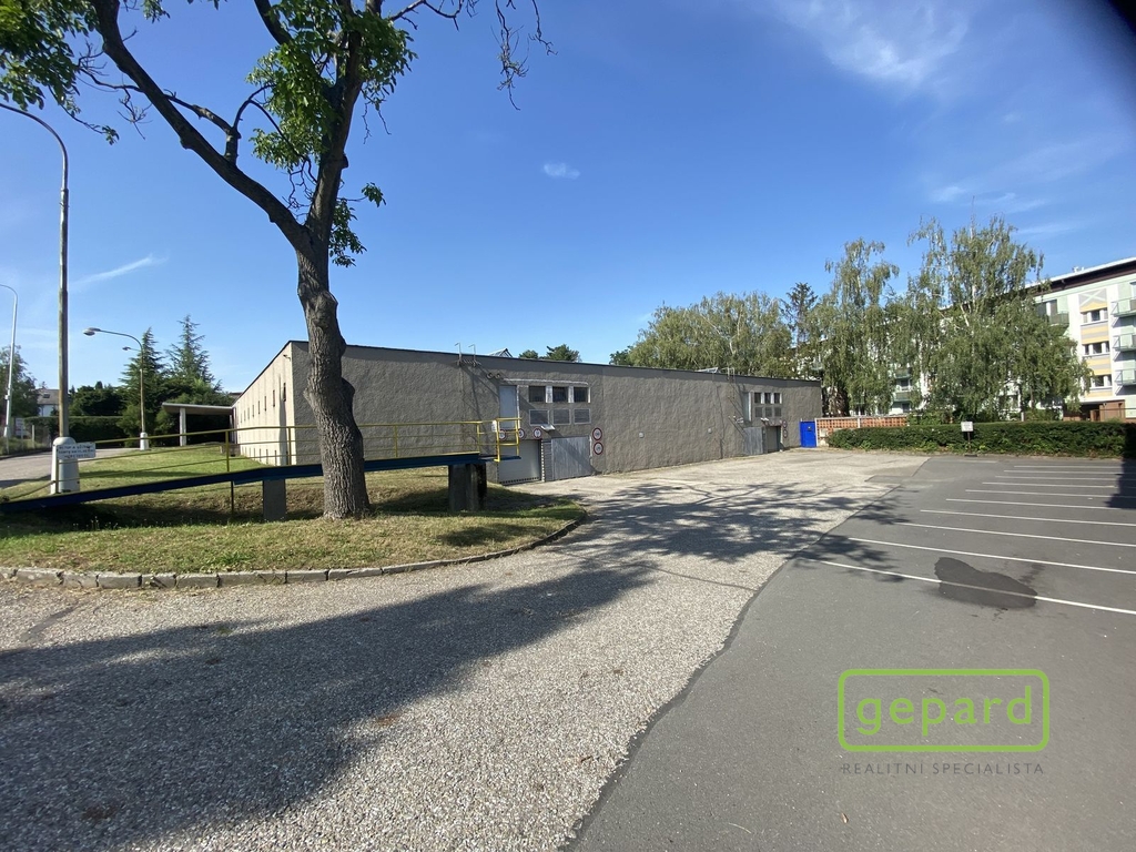 5-1.jpeg