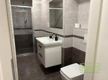 Pronájem bytu, 2+1, 40 m²