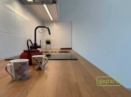 Pronájem bytu, 1+kk, 27 m², Mohelnice – náhled fotky 2