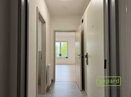 Pronájem bytu, 1+kk, 27 m², Mohelnice – náhled fotky 3